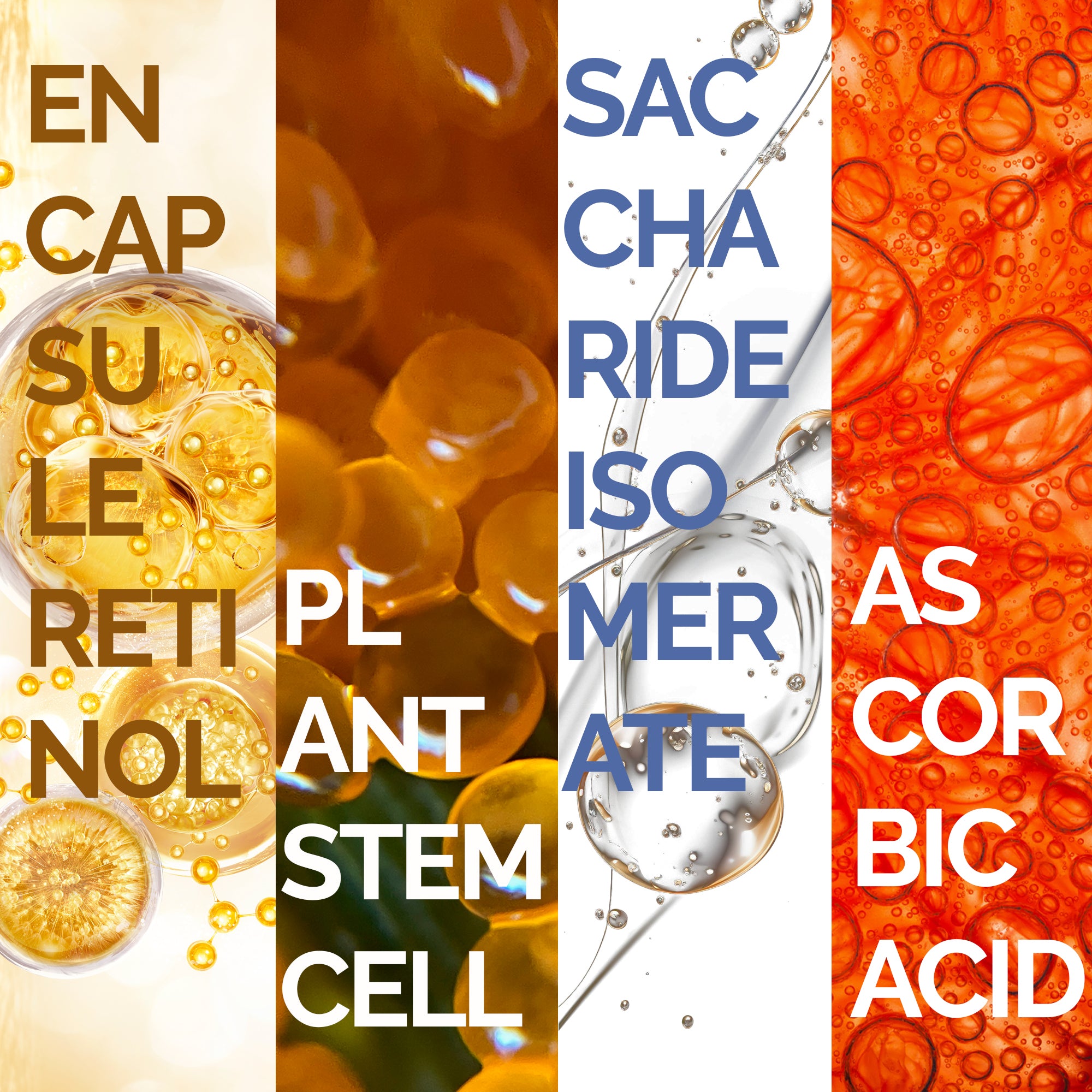 MOLECULAR ENCAPSULATION RETINOL SERUM