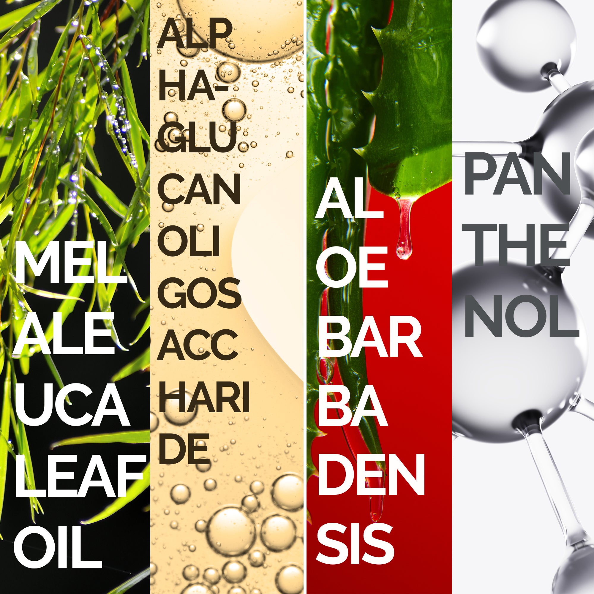 TEA TREE FACE WASH