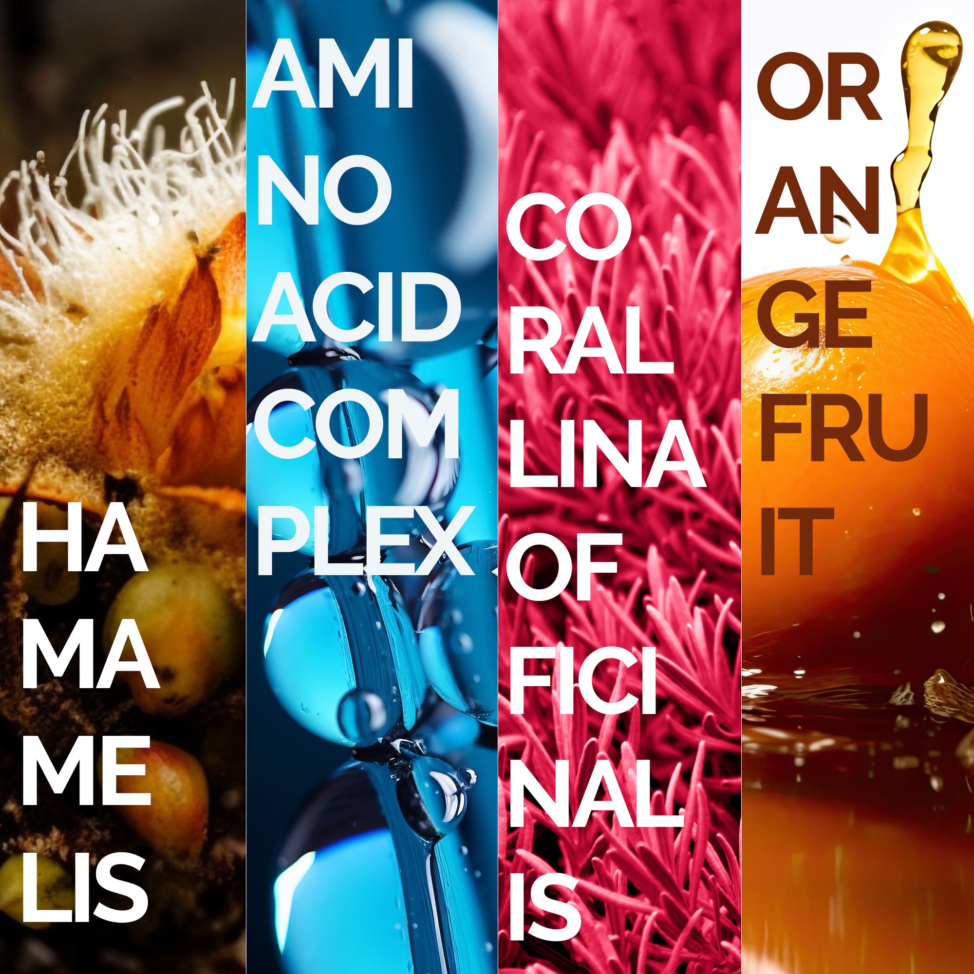 ANTI SHINE REFRESHING TONIC