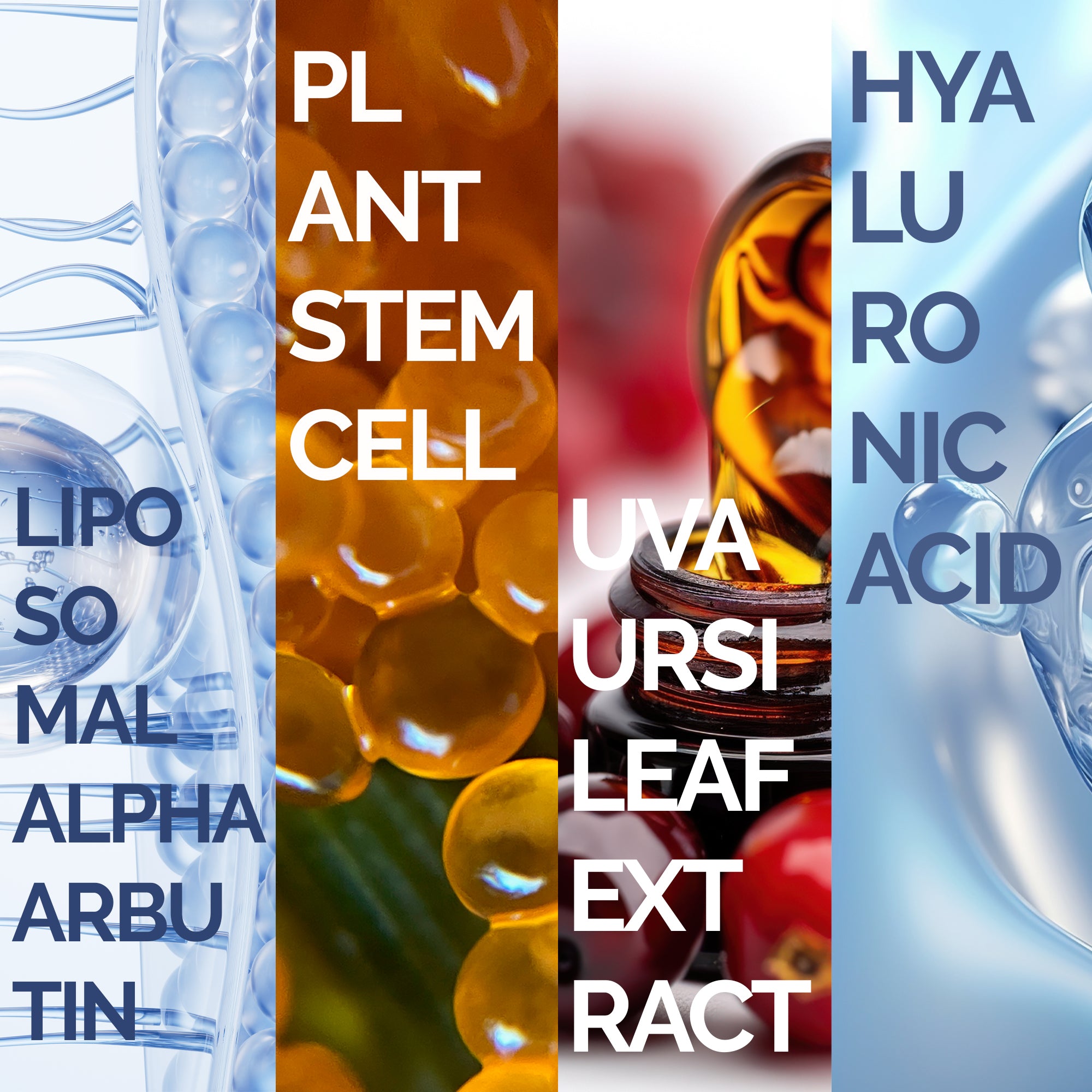 LİPOSOMAL ARBUTİN SERUM