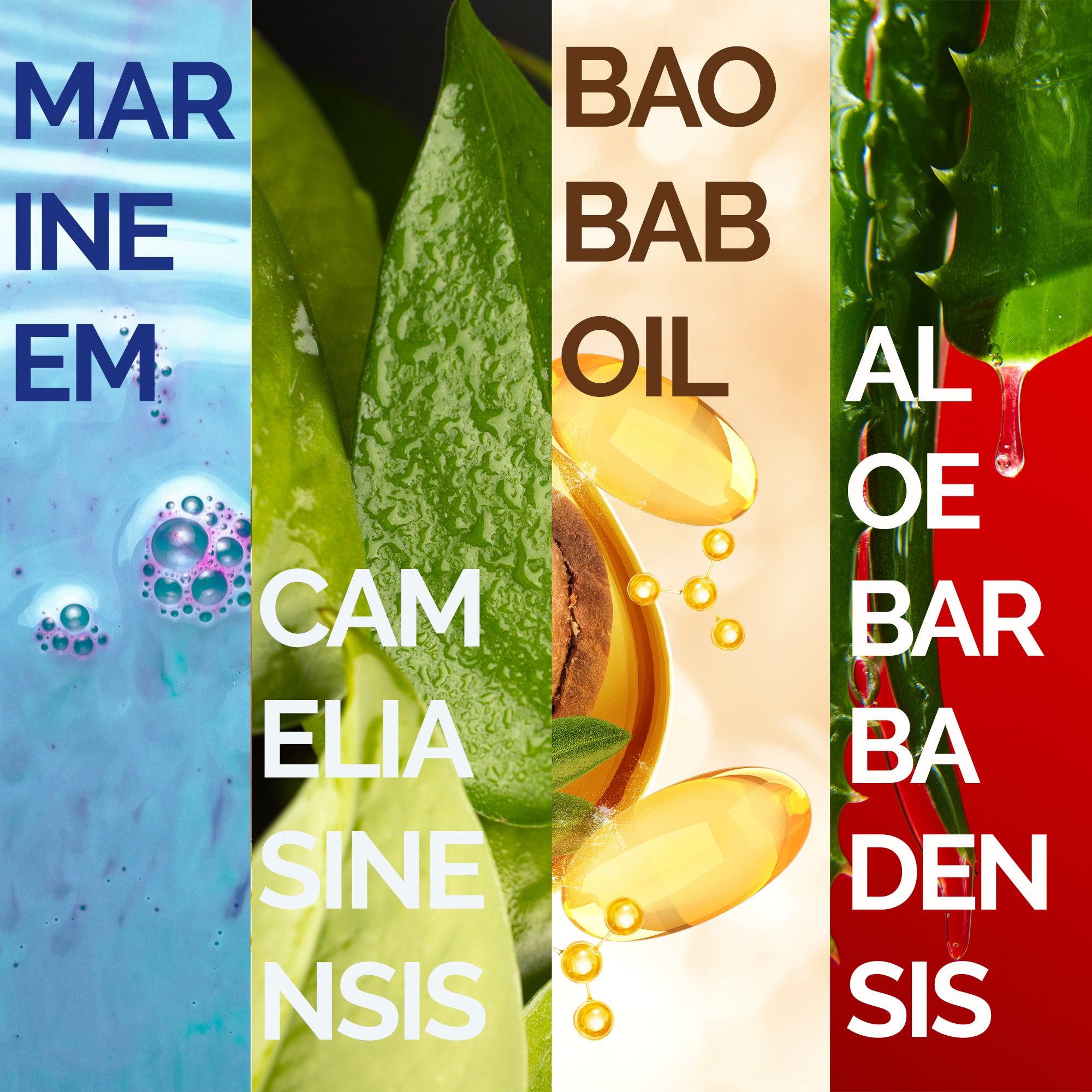 ICE PEELING REJUVENATING SECRET OF THE OCEAN