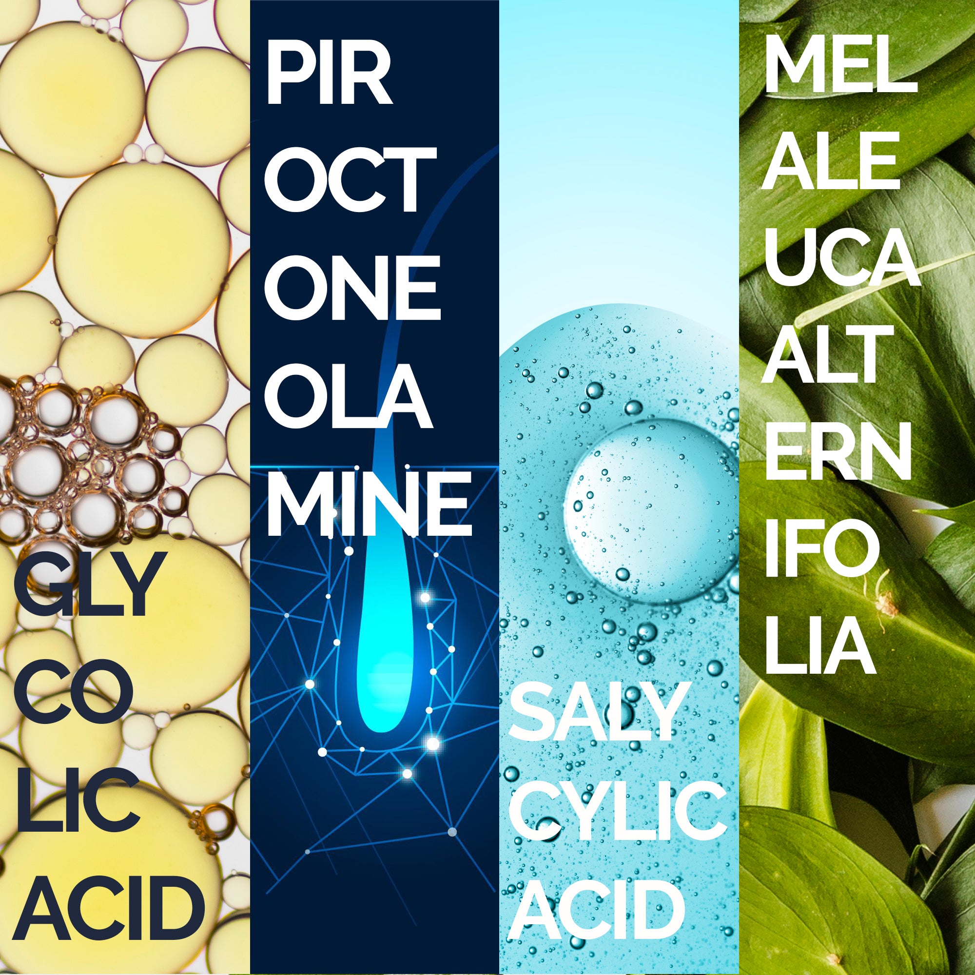 ANTI OILY& DANDRUFF SHAMPOO